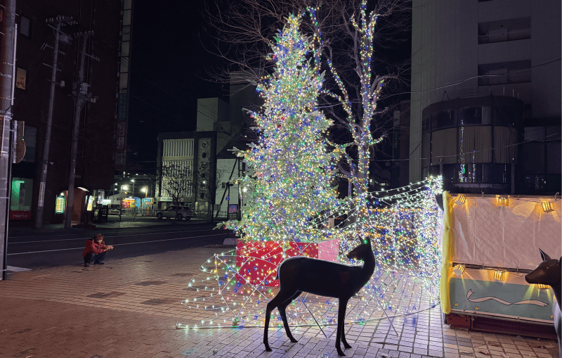 OBIHIRO CHRISTMAS LUMI-FANTASY